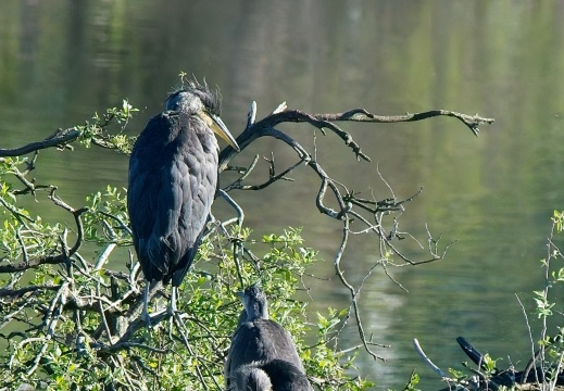 Natuurfotografie