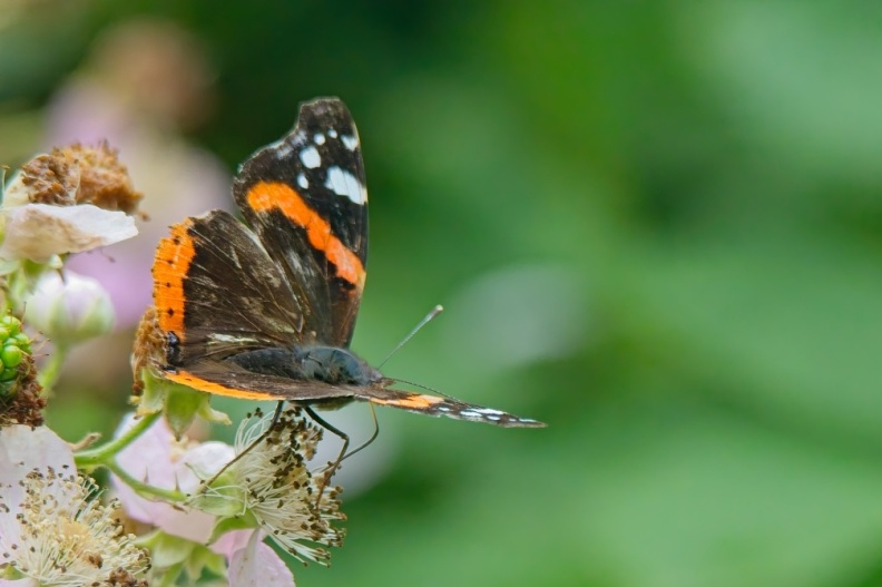 NatuurVak_202506007.jpg