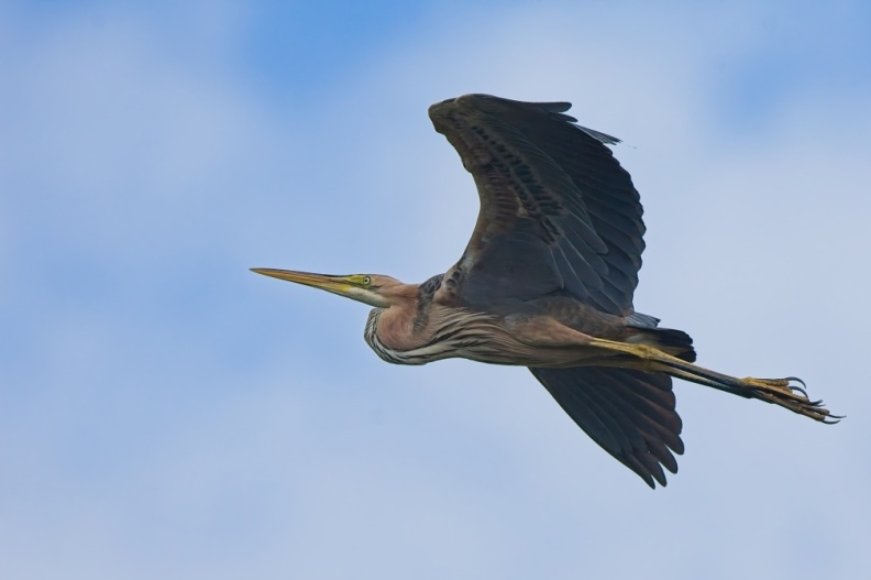 NatuurVak_202506041.jpg