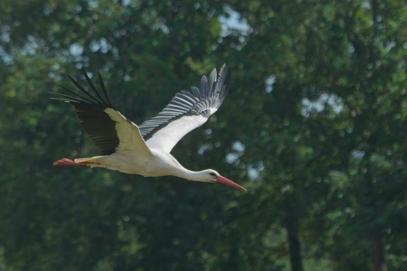 NatuurVak_202506056.jpg