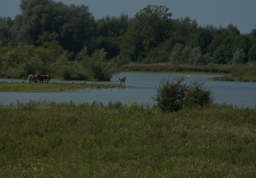 Blauwe kamer 2006017