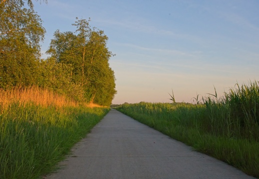 2020405 Weerribben13