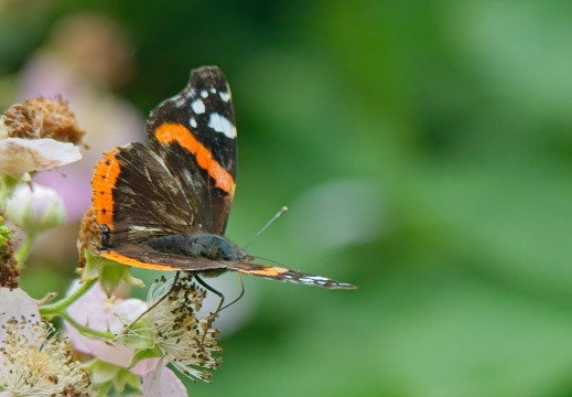 NatuurVak 202506007