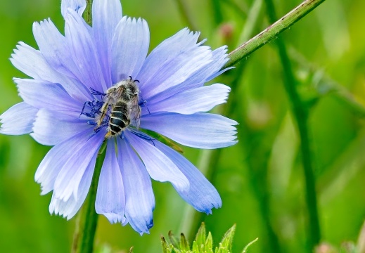 NatuurVak 202506012