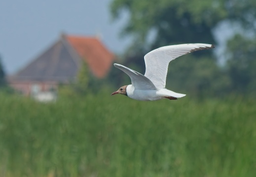 NatuurVak 202506032