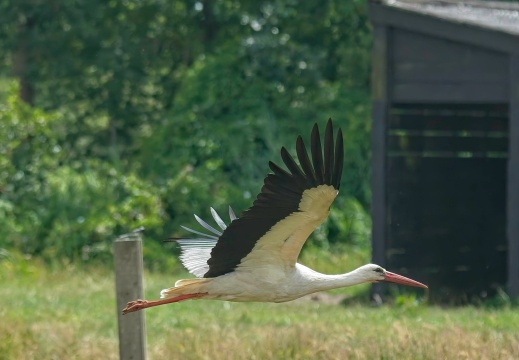 NatuurVak 202506057
