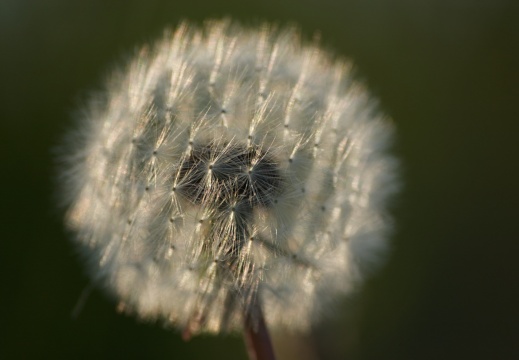 2007-022