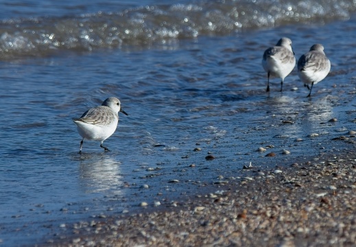 202501oosterschelde000