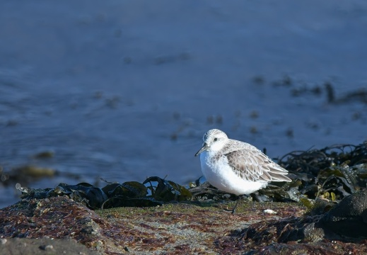 202501oosterschelde008
