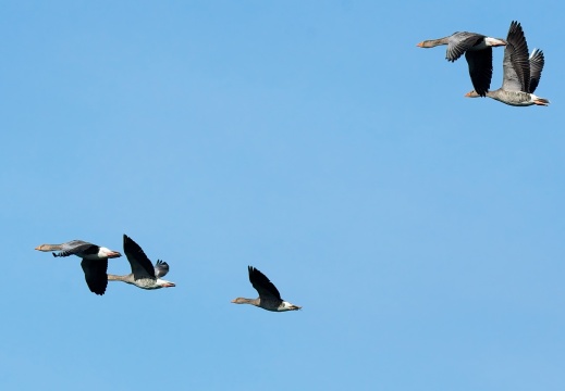 202501oosterschelde010