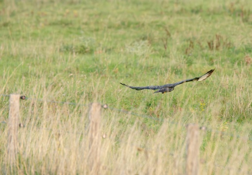 Velperwaarden 2025-08-104