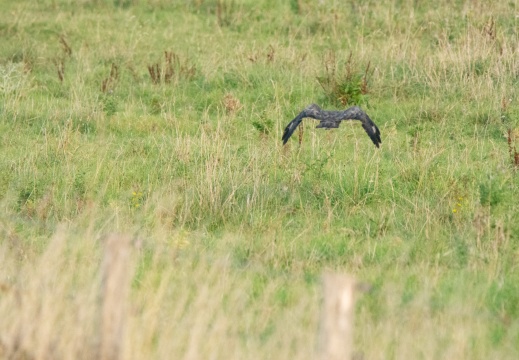 Velperwaarden 2025-08-105