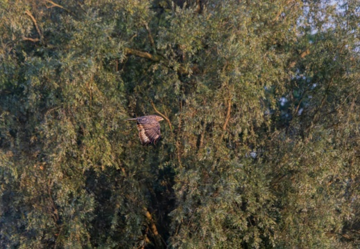 Velperwaarden 2025-08-112