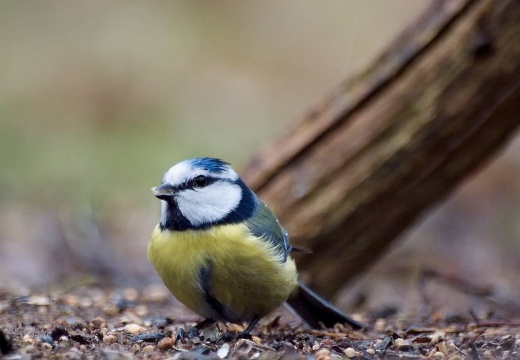 3098 darktable.0EAN50 1080x720