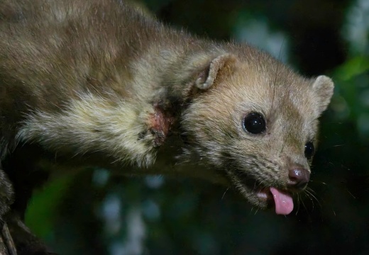 202508 Vledder 2 014